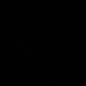 Meet your Posher, Katalina